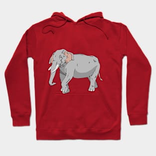 Elephant Grey Hoodie